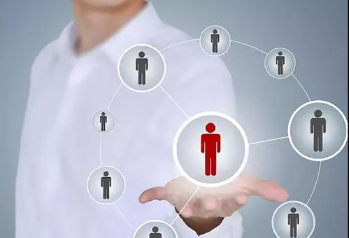 標準化管理奠定根基，個性化營銷點亮未來 論酒店發(fā)展的雙翼