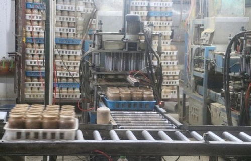 金針菇工廠化栽培機械自動化生產與管理關鍵技術及其對現代酒店管理的啟示